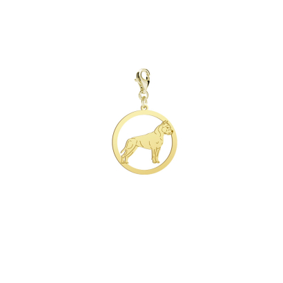 Charms z psem rasy American Staffordshire Terrier srebro pozłacane - MEJK Jewellery