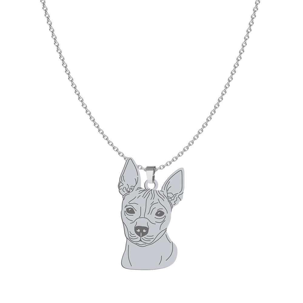 Naszyjnik z rasą American Hairless Terrier srebro GRAWER GRATIS - MEJK Jewellery