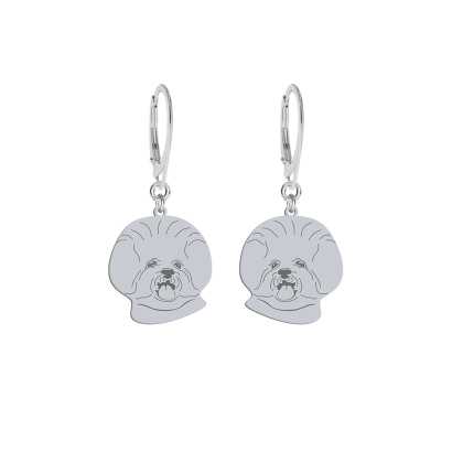 Silver Bichon Frise egraved earrings - MEJK Jewellery