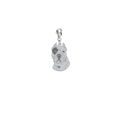 Charms z psem grawerem Dogo Argentino srebro - MEJK Jewellery