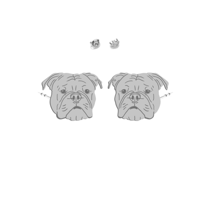 Kolczyki z psem Bulldog Kontynentalny srebro - MEJK Jewellery