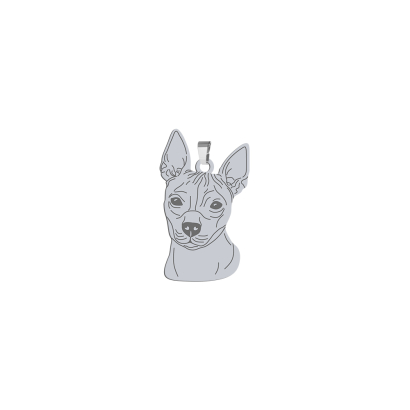 Zawieszka z psem grawerem Amerykański Terrier Bezwłosy srebro - MEJK Jewellery