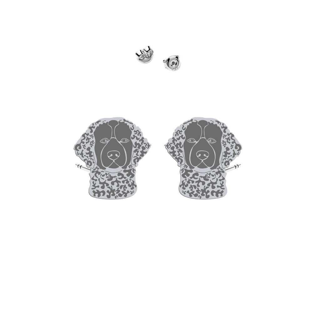 Silver Curly Coated Retriever earrings - MEJK Jewellery