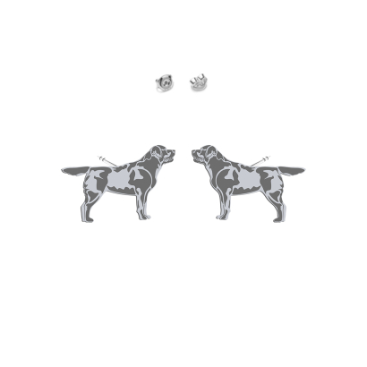 Kolczyki z psem Labrador Retriever srebro - MEJK Jewellery