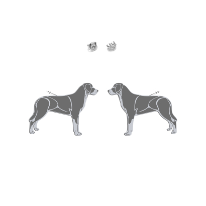 Kolczyki z psem Duży Szwajcarski Pies Pasterski srebro - MEJK Jewellery