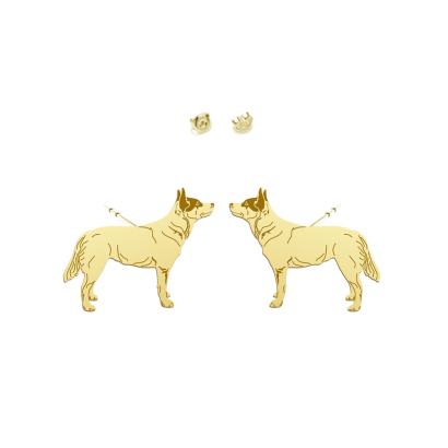 Kolczyki Pozłacane Australijski Pies Pasterski - MEJK Jewellery