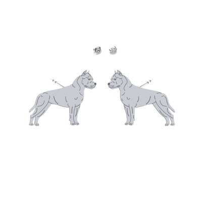 Kolczyki z psem American Staffordshire Terrier - Amstaff srebro - MEJK Jewellery