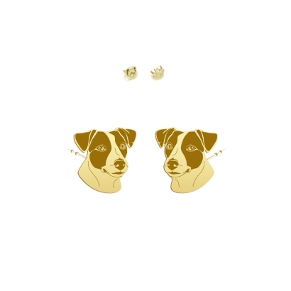 Kolczyki ze srebra pozłacanego Jack Russell Terrier Krótkowłosy - MEJK Jewellery