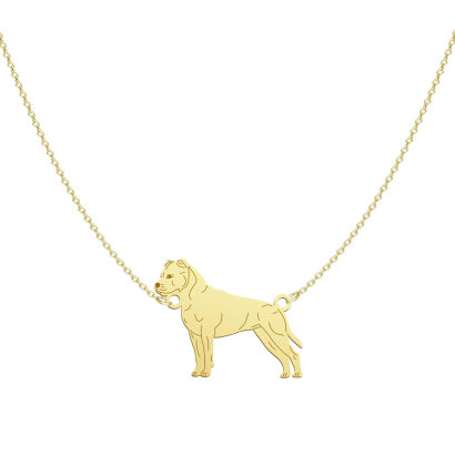 Naszyjnik Pozłacany Amstaff American Staffordshire Terrier GRAWER GRATIS - MEJK Jewellery