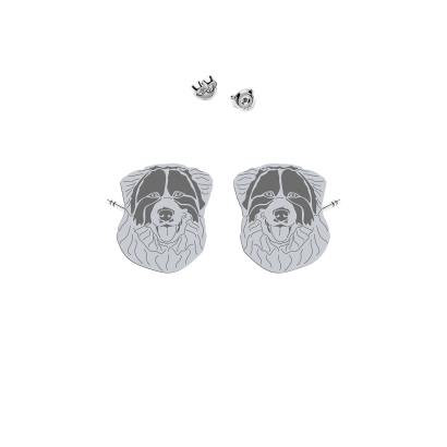 Silver Tornjak earrings - MEJK Jewellery