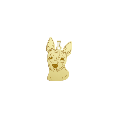 Zawieszka z rasą American Hairless Terrier srebro pozłacane GRAWER GRATIS - MEJK Jewellery