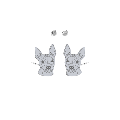 Kolczyki z psem Amerykański Terrier Bezwłosy srebro - MEJK Jewellery